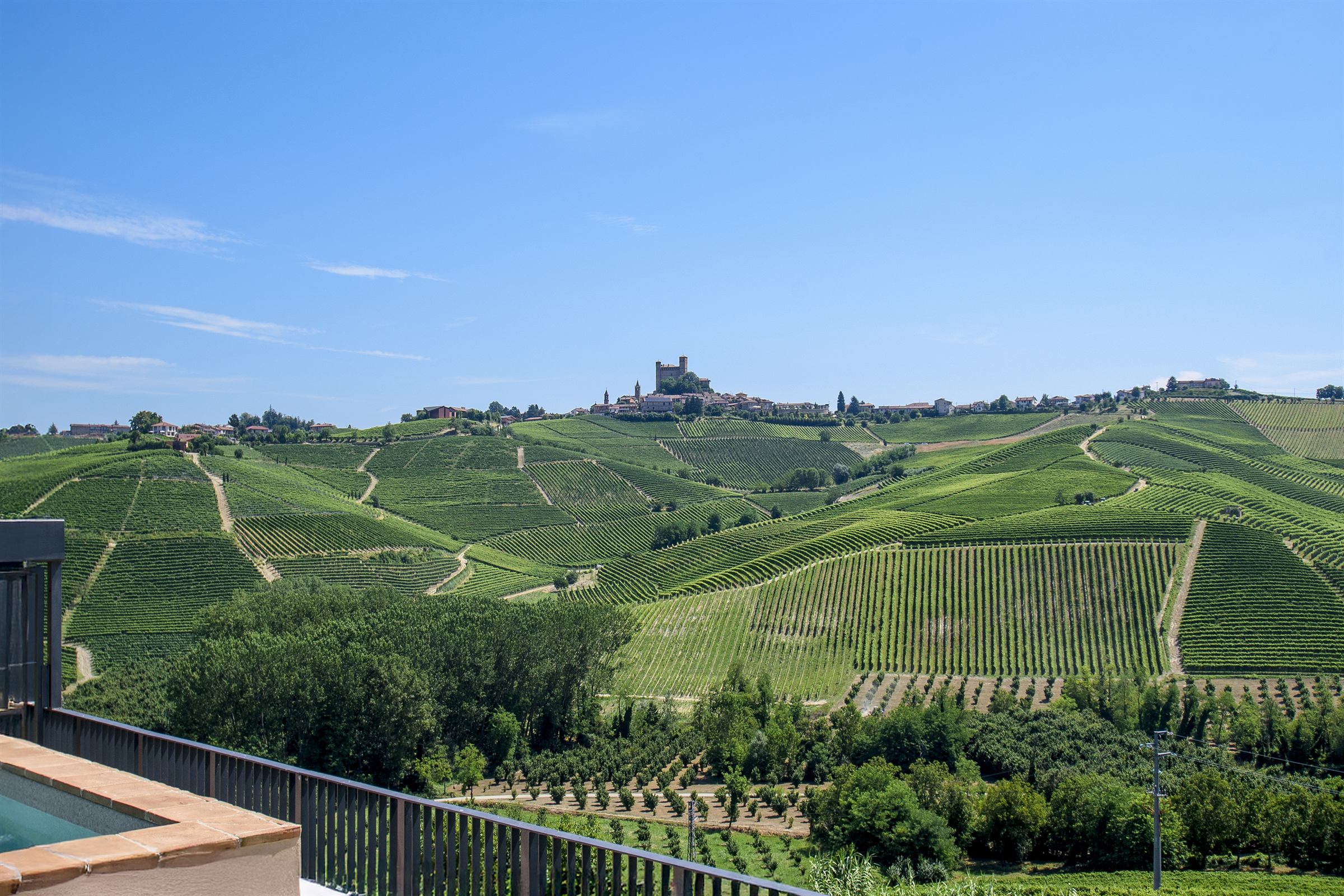 Weinberge und Dorf in den Langhe, Piemont